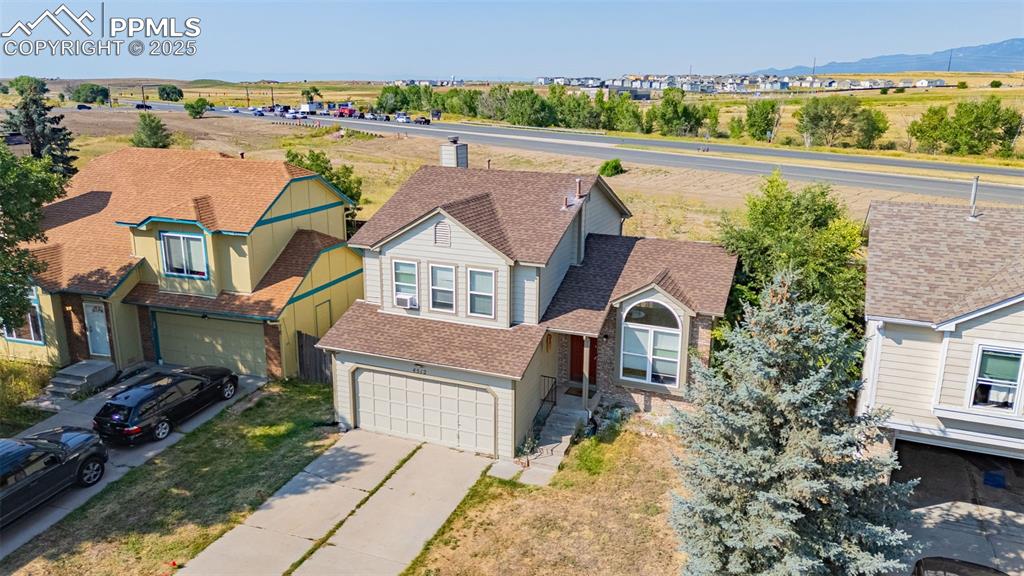 Image 28 of 30: Bird