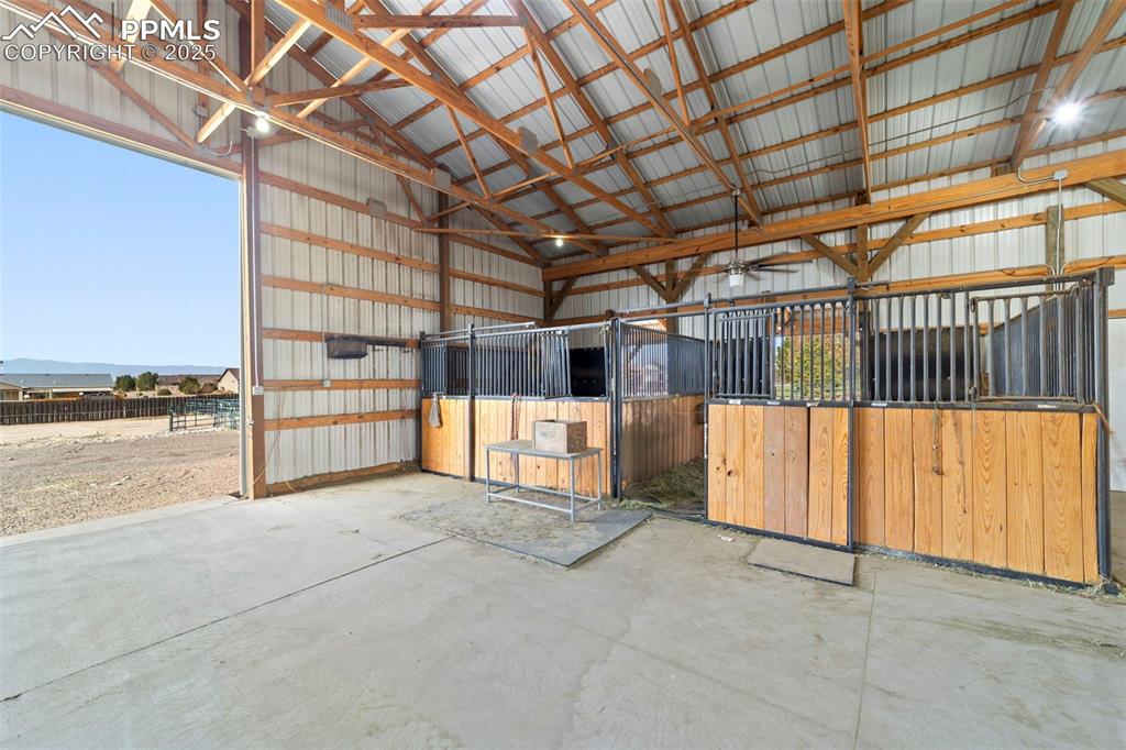 Image 42 of 50: Stable