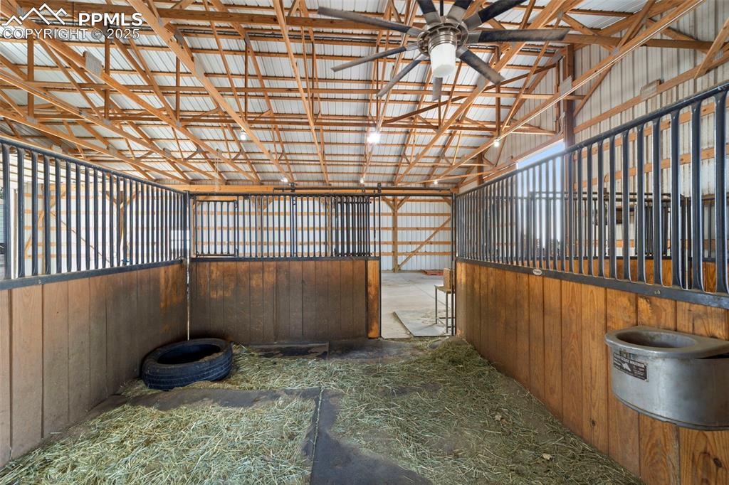 Image 43 of 50: Stable