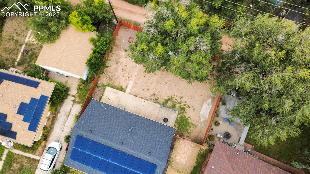 Image 25 of 28: Bird