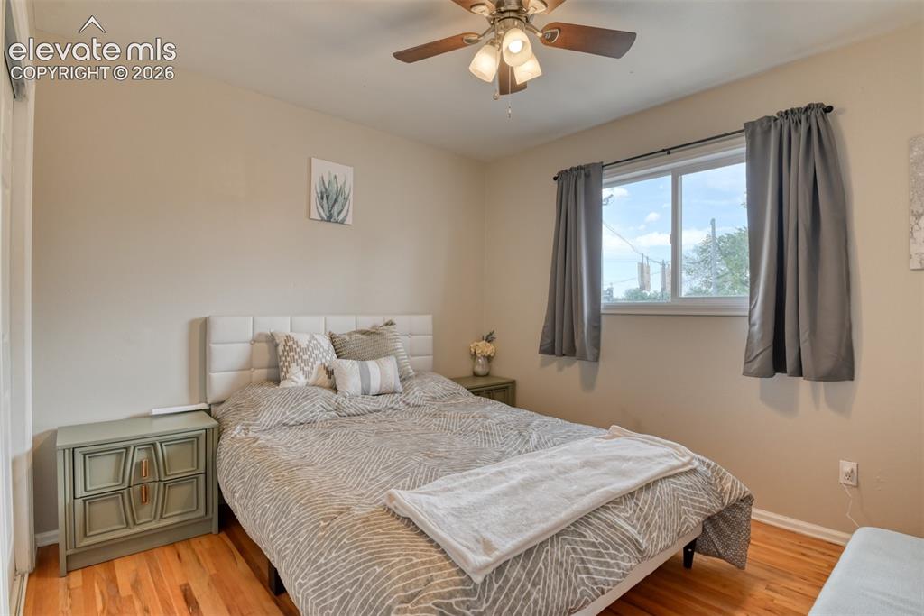 Image 21 of 46: Hardwood flooring complemented by light-toned wall paint