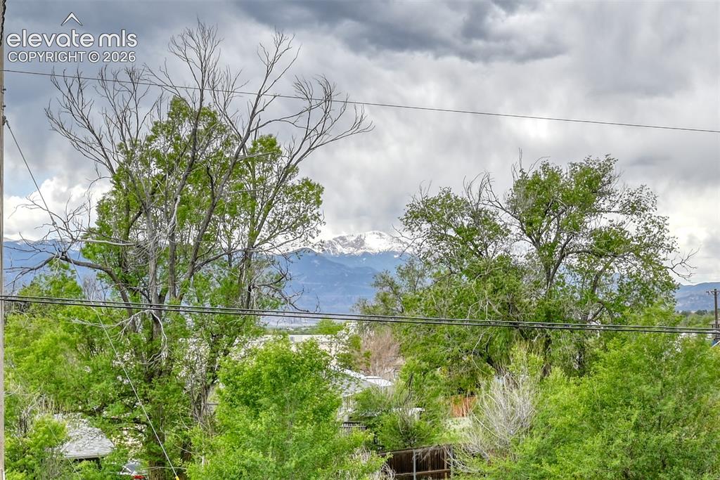 Image 41 of 46: Distant snow-capped mountain range framed by mature green trees
