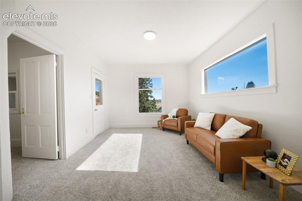 Image 6 of 18: Fresh paint and new carpet throughout