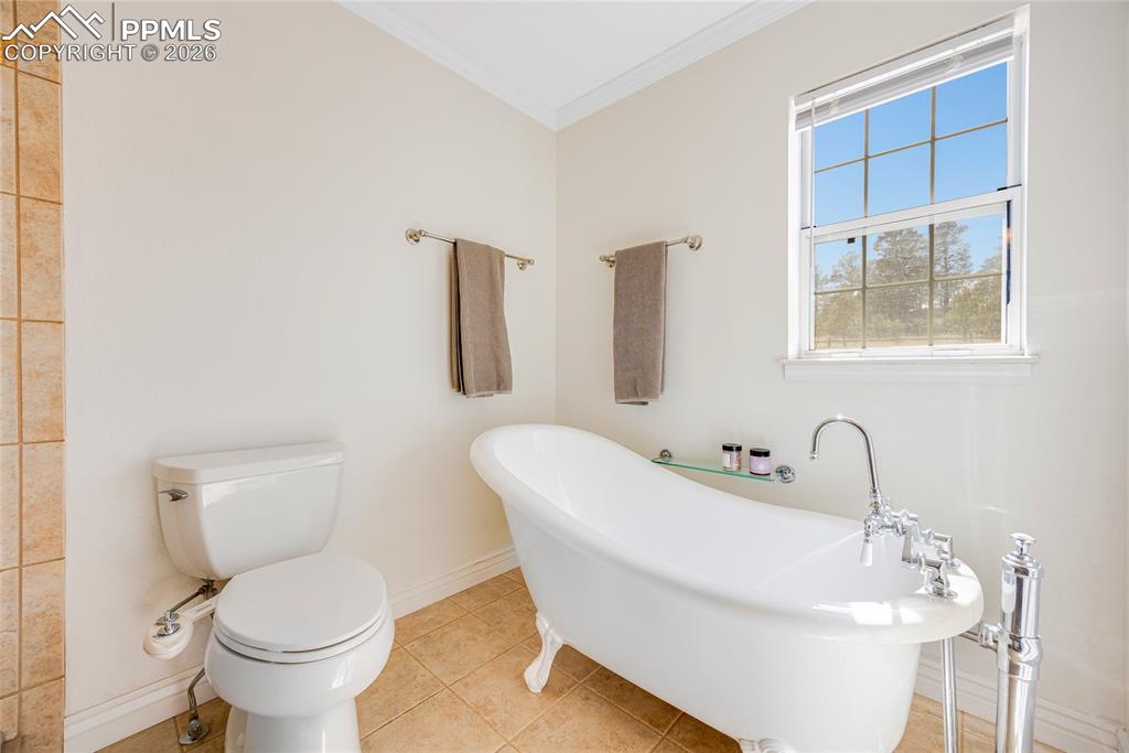 Image 24 of 42: Bathroom featuring a freestanding clawfoot bathtub with a polished chrome f