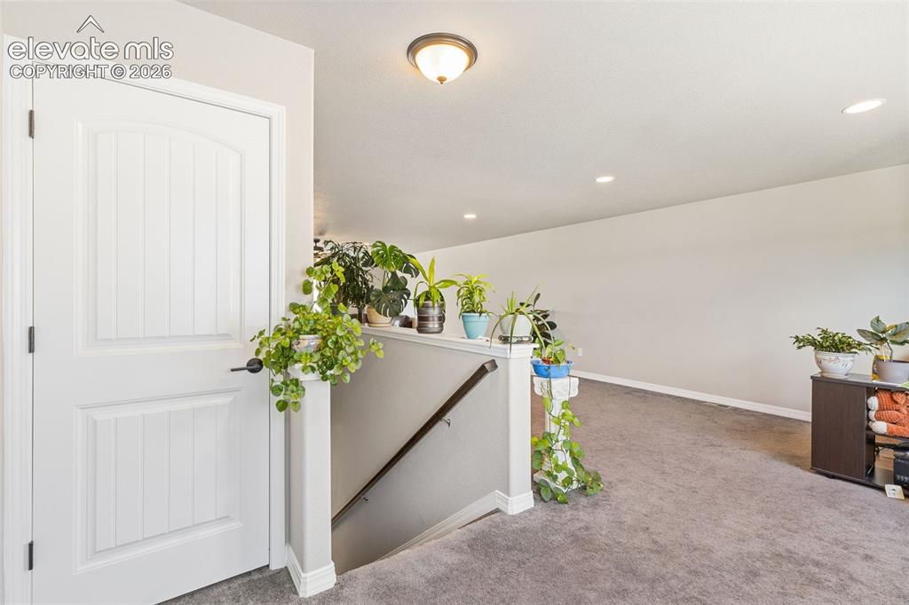 Image 24 of 44: Carpeted landing featuring a white paneled door with matte black hardware,