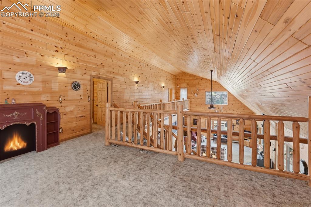 Image 16 of 50: Other