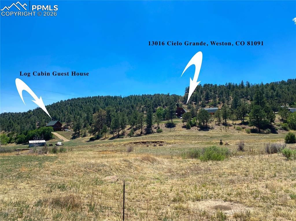 Image 44 of 50: View