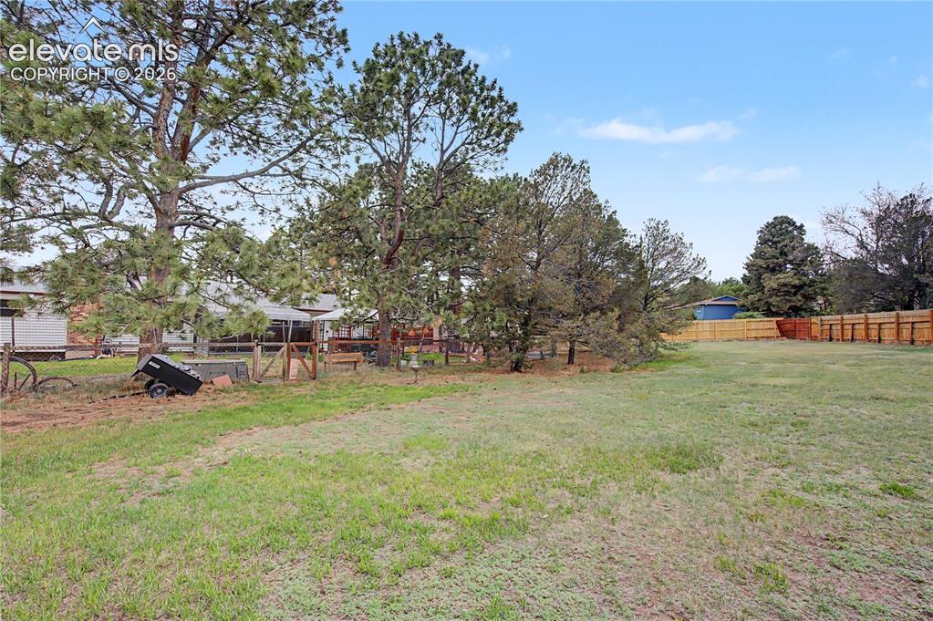 Image 33 of 38: Expansive grassy lot with mature trees, a wood privacy fence, and a wooden