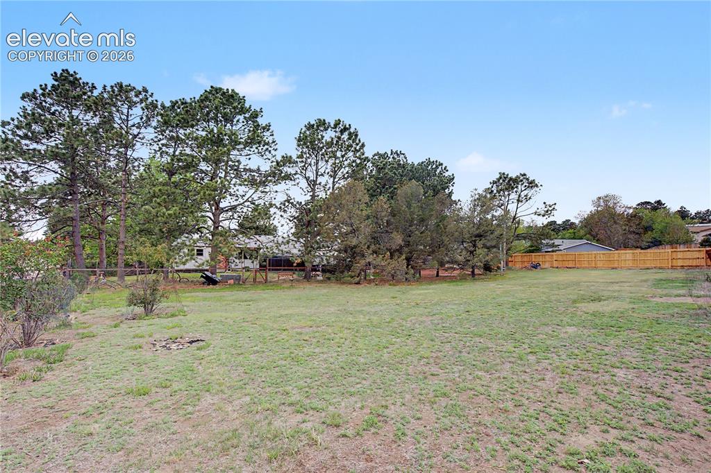 Image 34 of 38: Expansive grassy yard area with a wood privacy fence and mature evergreen t