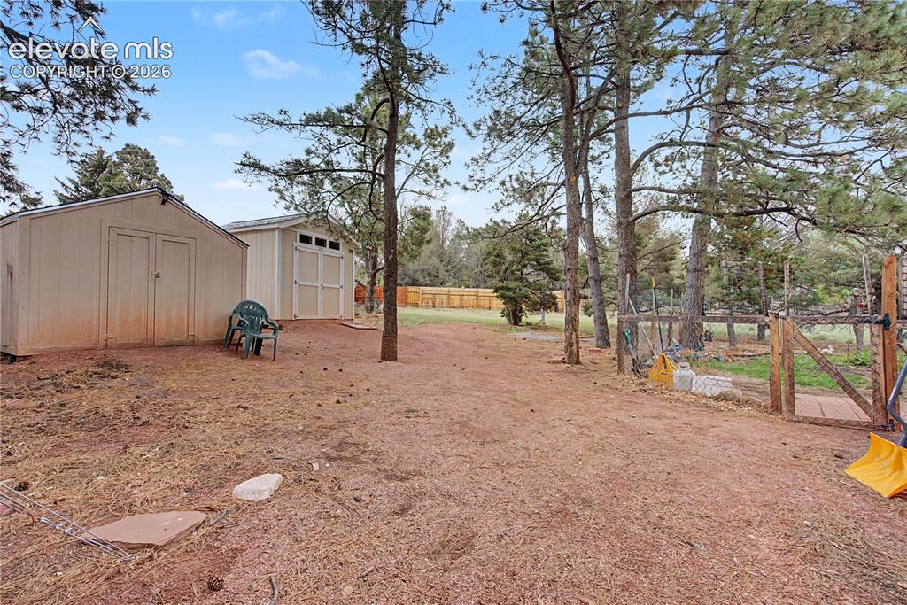 Image 36 of 38: Expansive outdoor area featuring two storage sheds, mature evergreen trees,