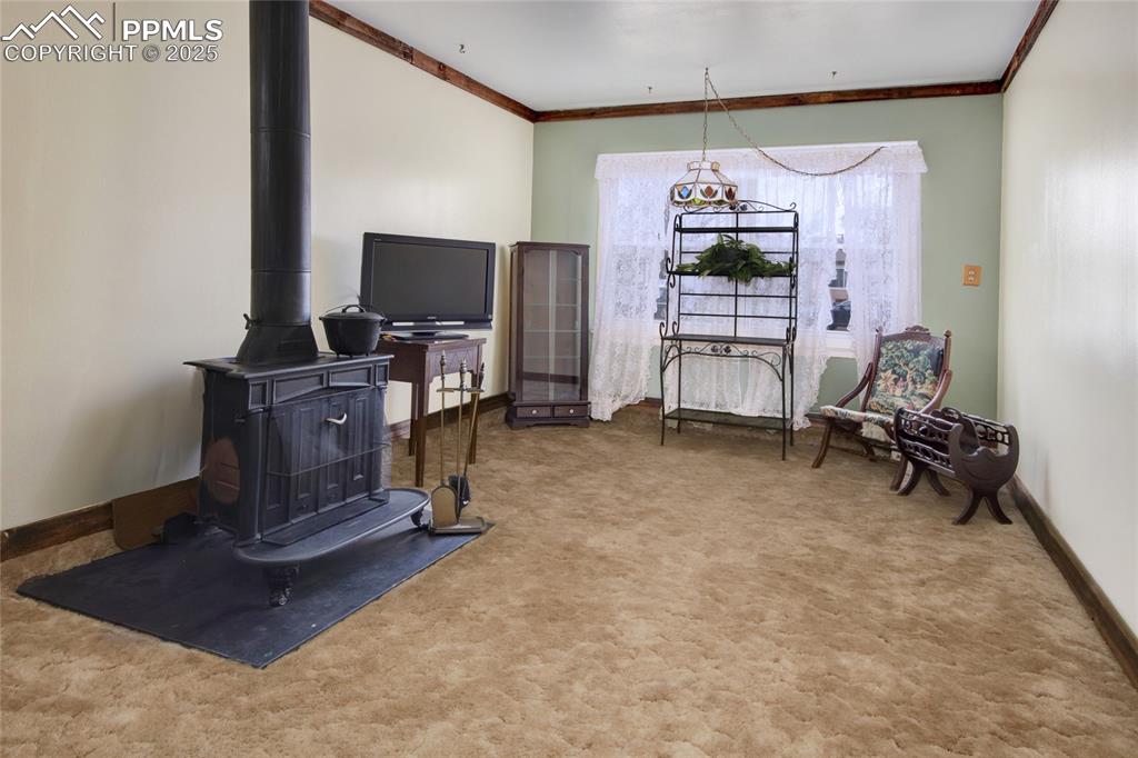 Image 16 of 20: FAMILY ROOM OR BEDROOM WITH FIREPLACE