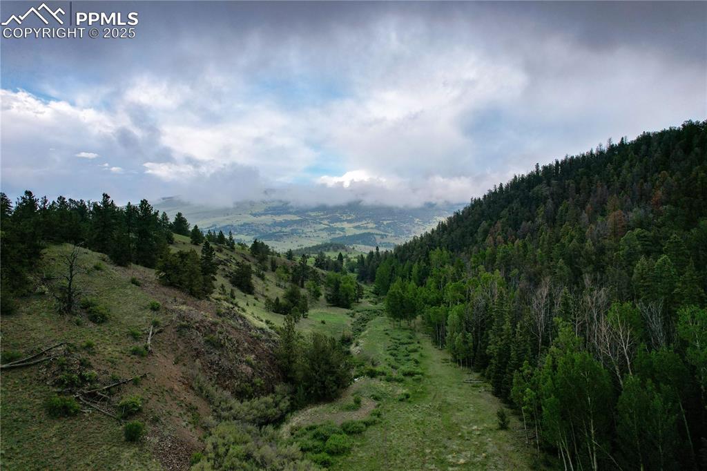 Image 11 of 45: View