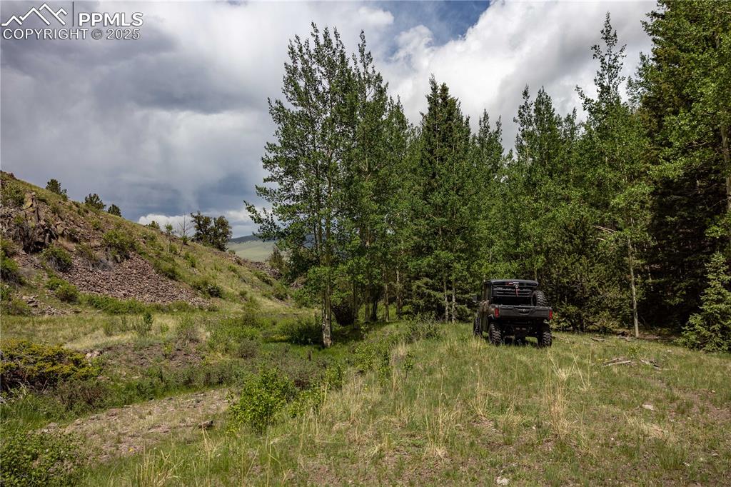 Image 12 of 45: Other