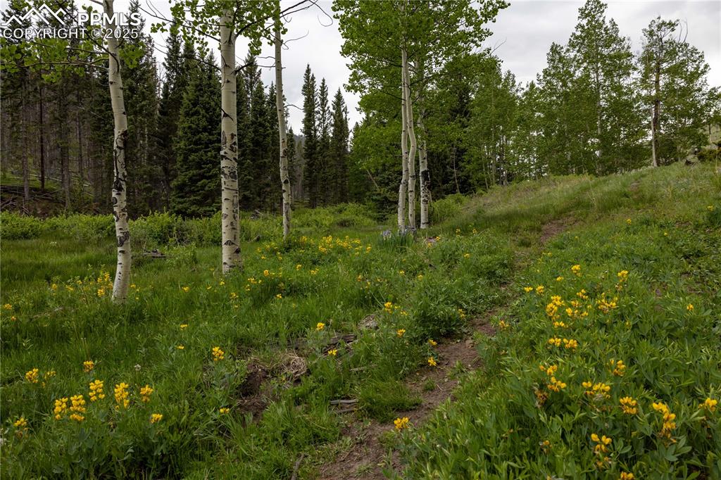 Image 13 of 45: Other