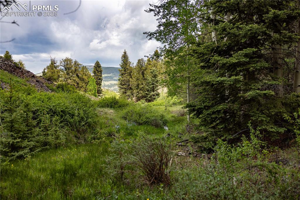 Image 14 of 45: Other