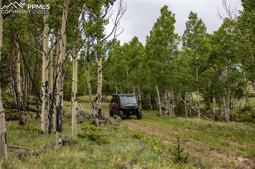 Image 15 of 45: Yard