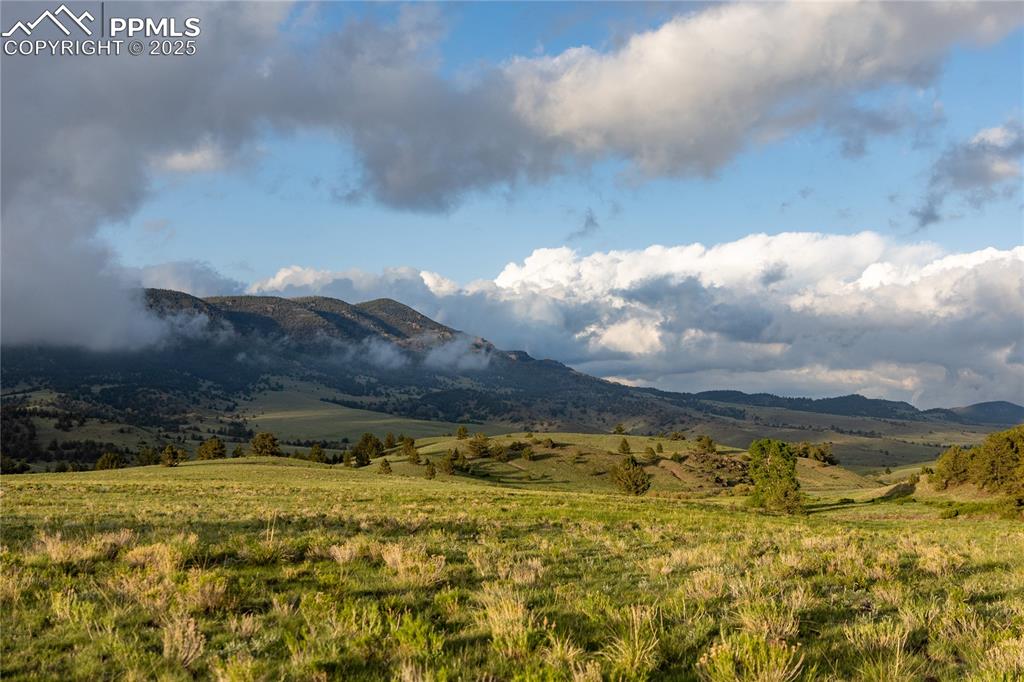 Image 17 of 45: View