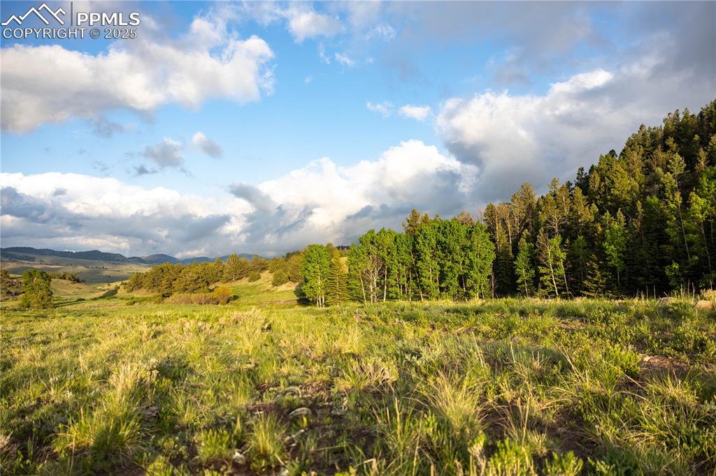 Image 18 of 45: Other