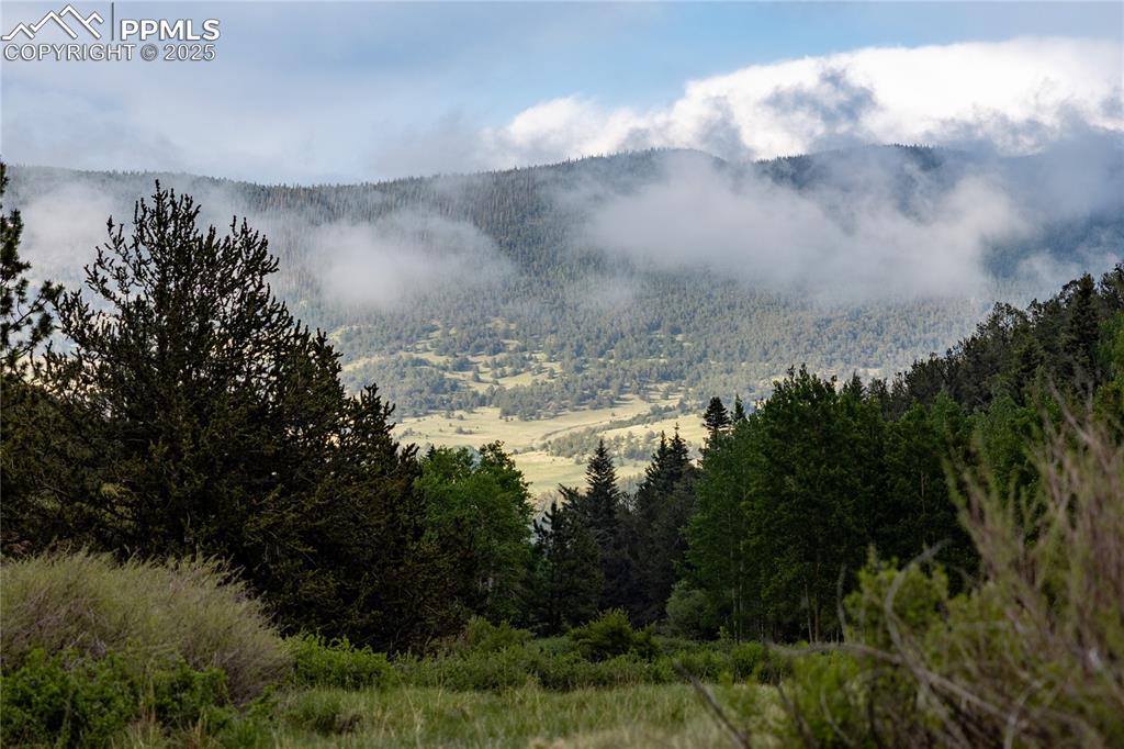 Image 19 of 45: View