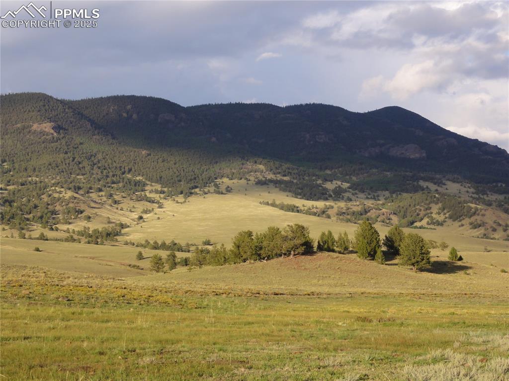 Image 20 of 45: View