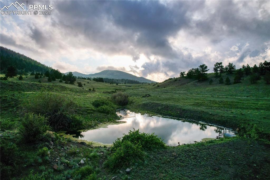 Image 21 of 45: View