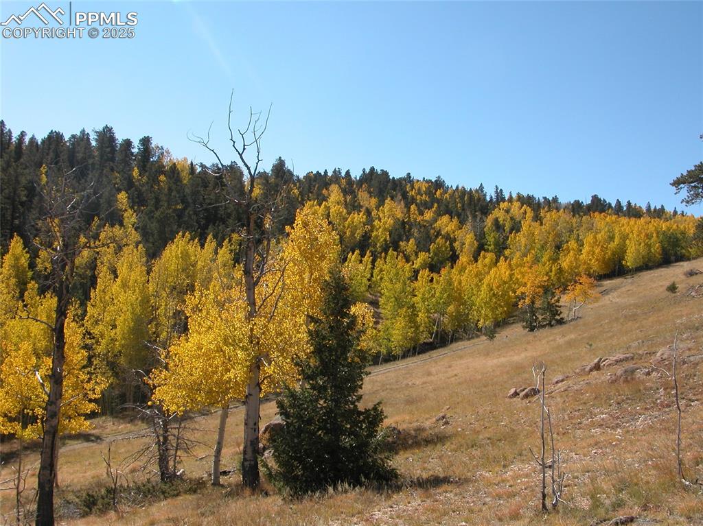 Image 24 of 45: Other