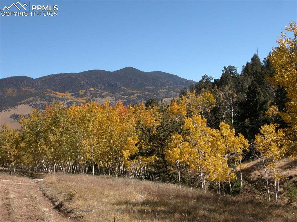 Image 25 of 45: View