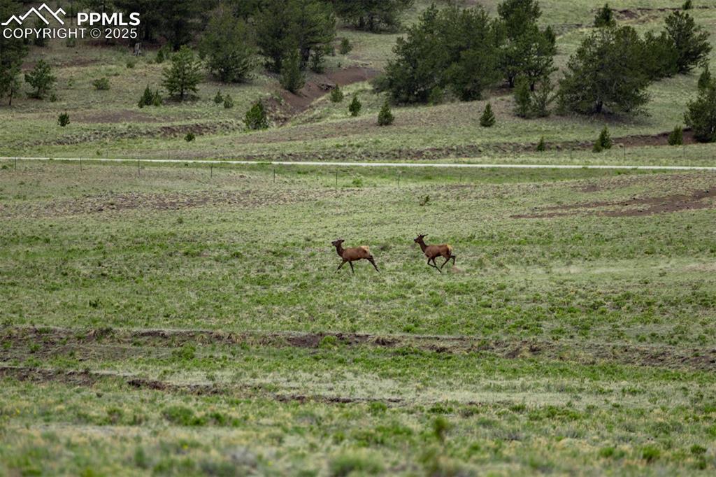Image 41 of 45: Aerial View