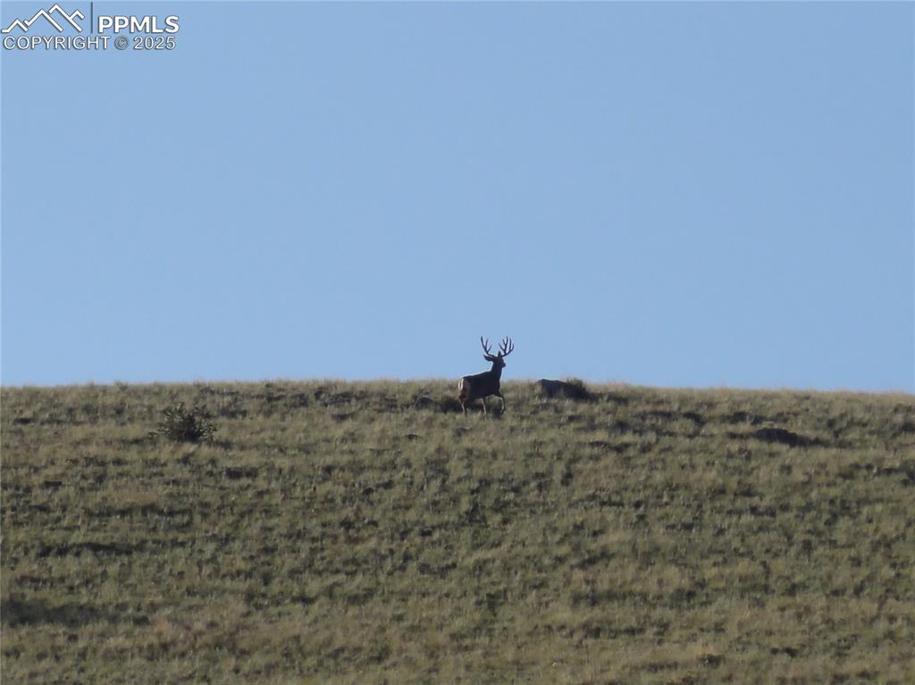 Image 42 of 45: Other