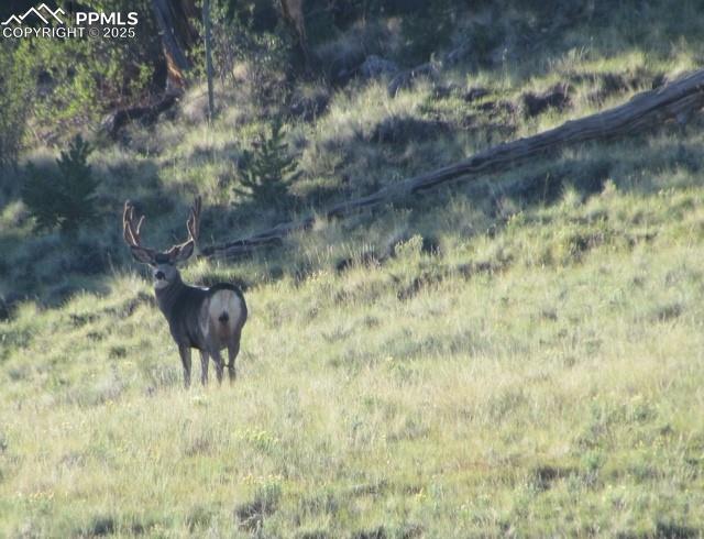 Image 43 of 45: Other