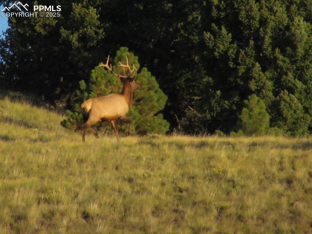 Image 44 of 45: Other