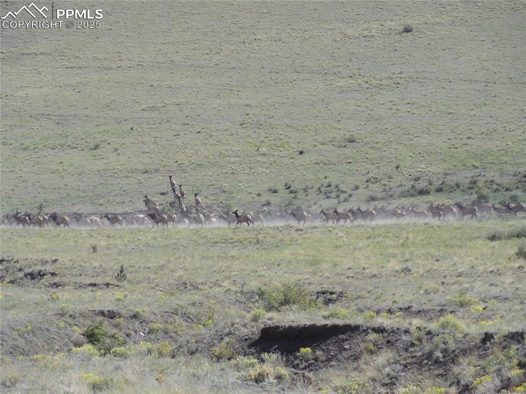 Image 45 of 45: Other