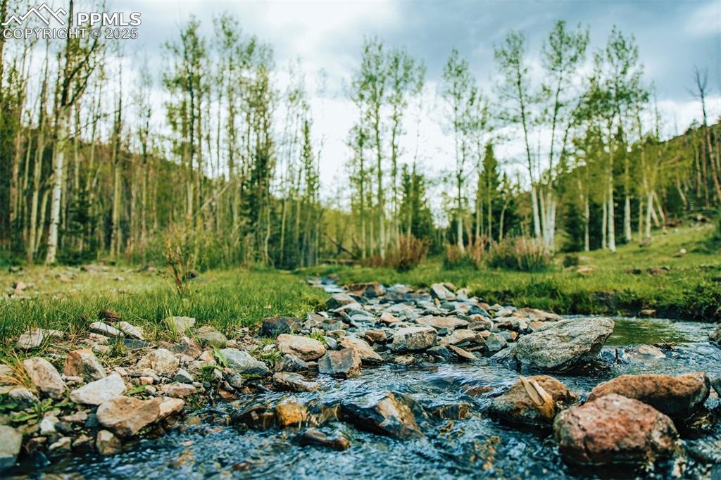 Image 6 of 45: Other