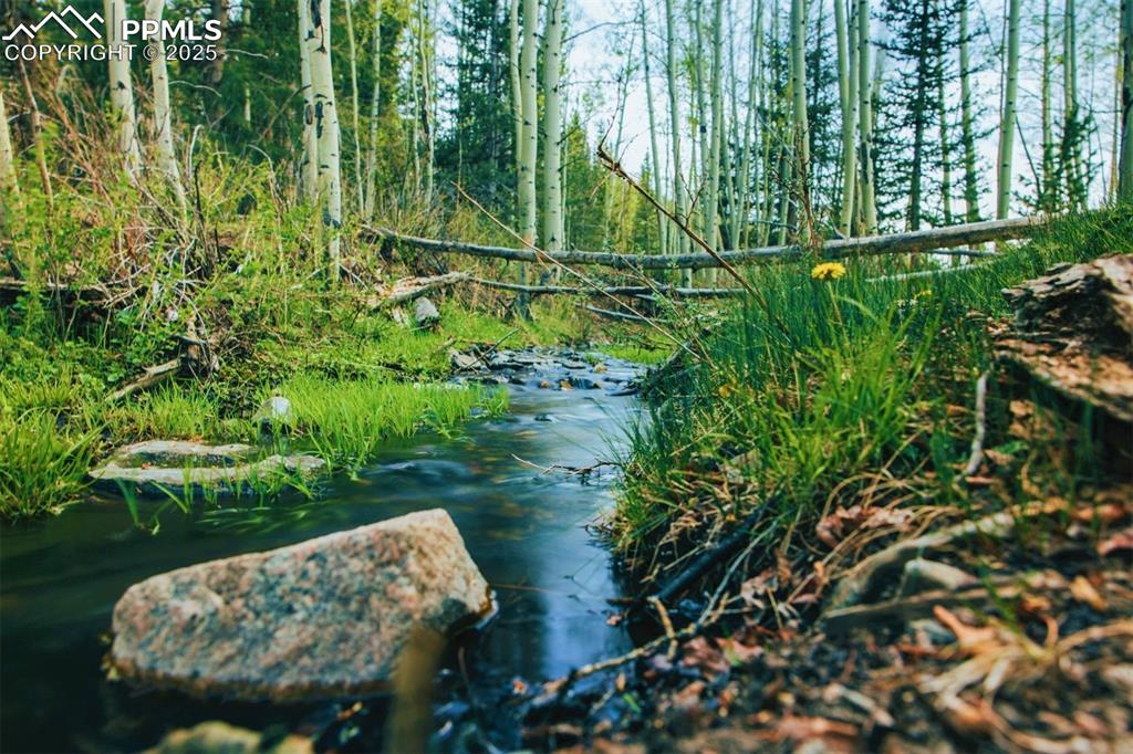 Image 7 of 45: Other