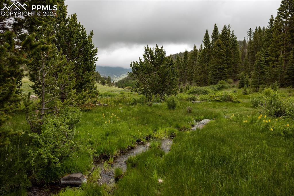 Image 8 of 45: Other