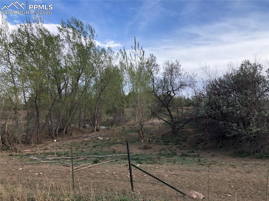 Image 4 of 17: Yard