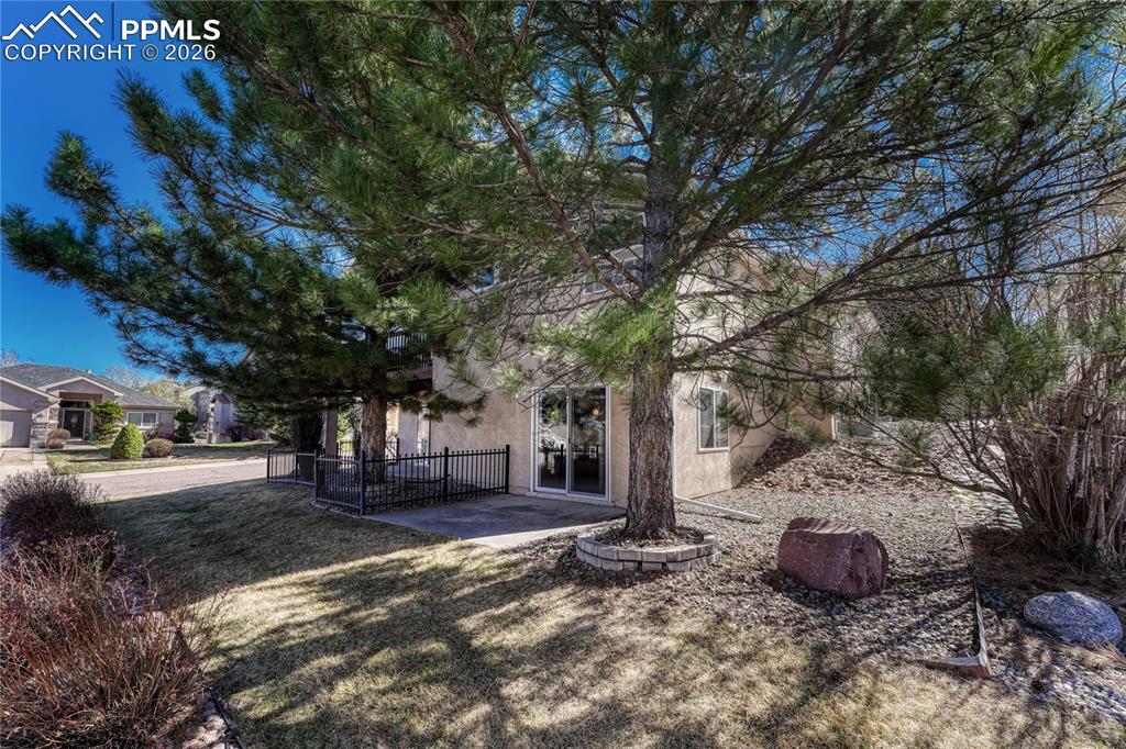 Image 38 of 50: Mature trees!