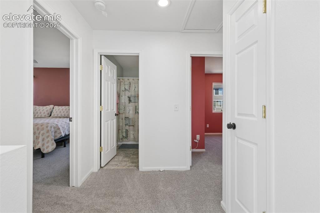 Image 16 of 35: White six-panel interior doors, light gray carpet flooring, and white paint