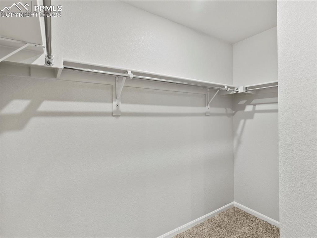 Image 15 of 22: Walk in closet with carpet flooring