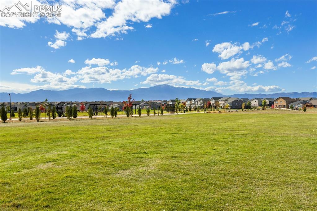 Image 35 of 35: Community