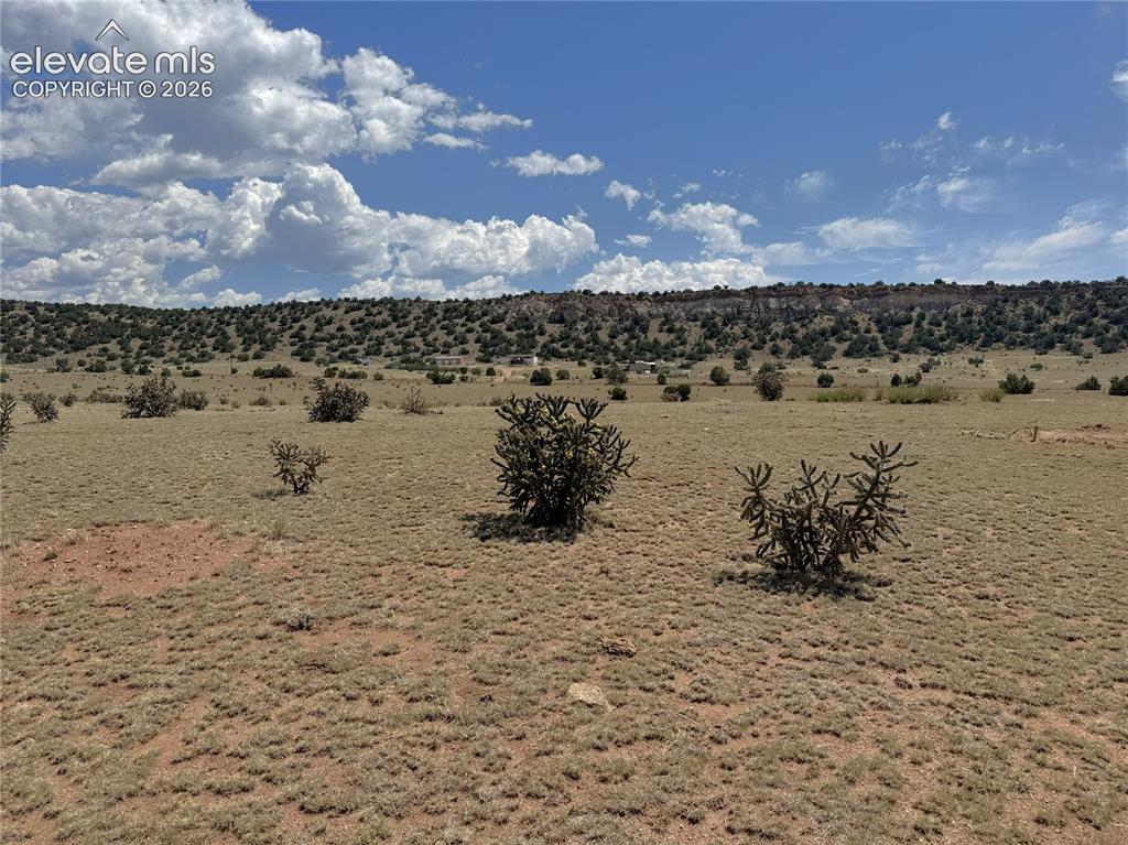 Image 6 of 17: View