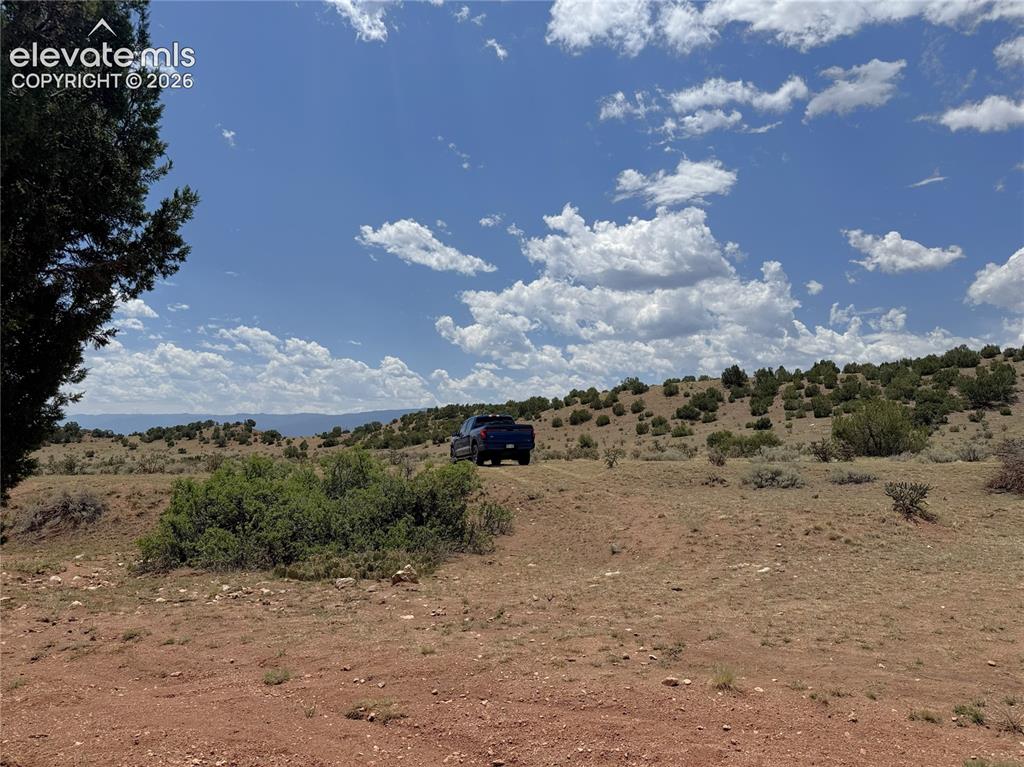 Image 8 of 17: Other