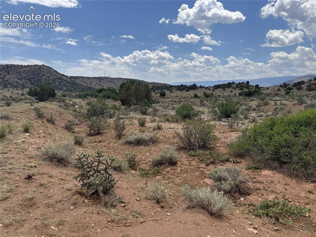 Image 9 of 17: View