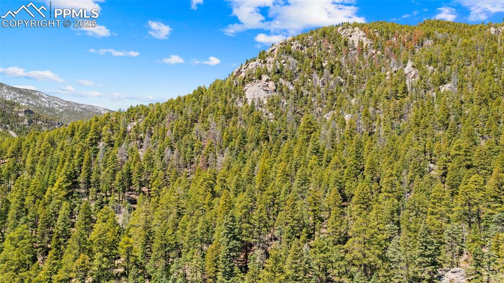 Image 13 of 35: View of mountain backdrop with a heavily wooded area