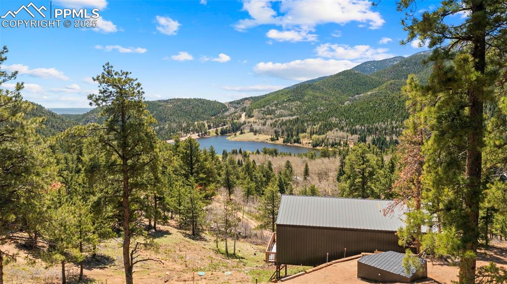 Image 14 of 35: View of mountain backdrop with a forest and San Isabel Lake 