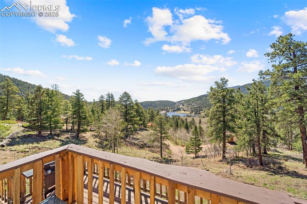 Image 30 of 35: View of mountain background with a heavily wooded area and a nearby body of