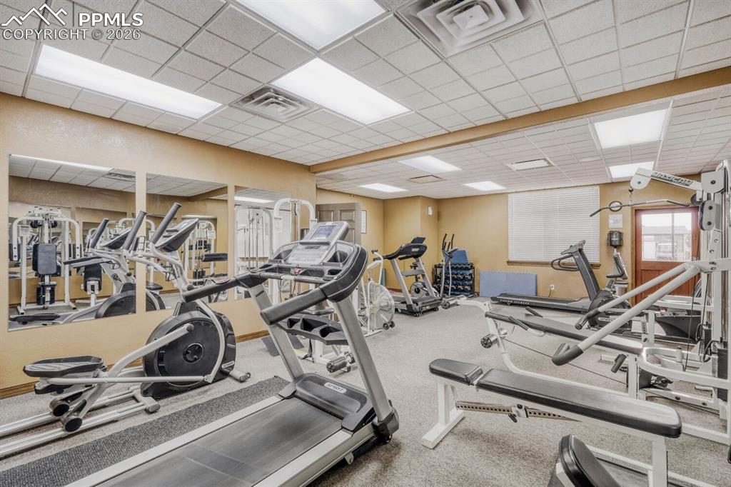 Image 29 of 33: Gym