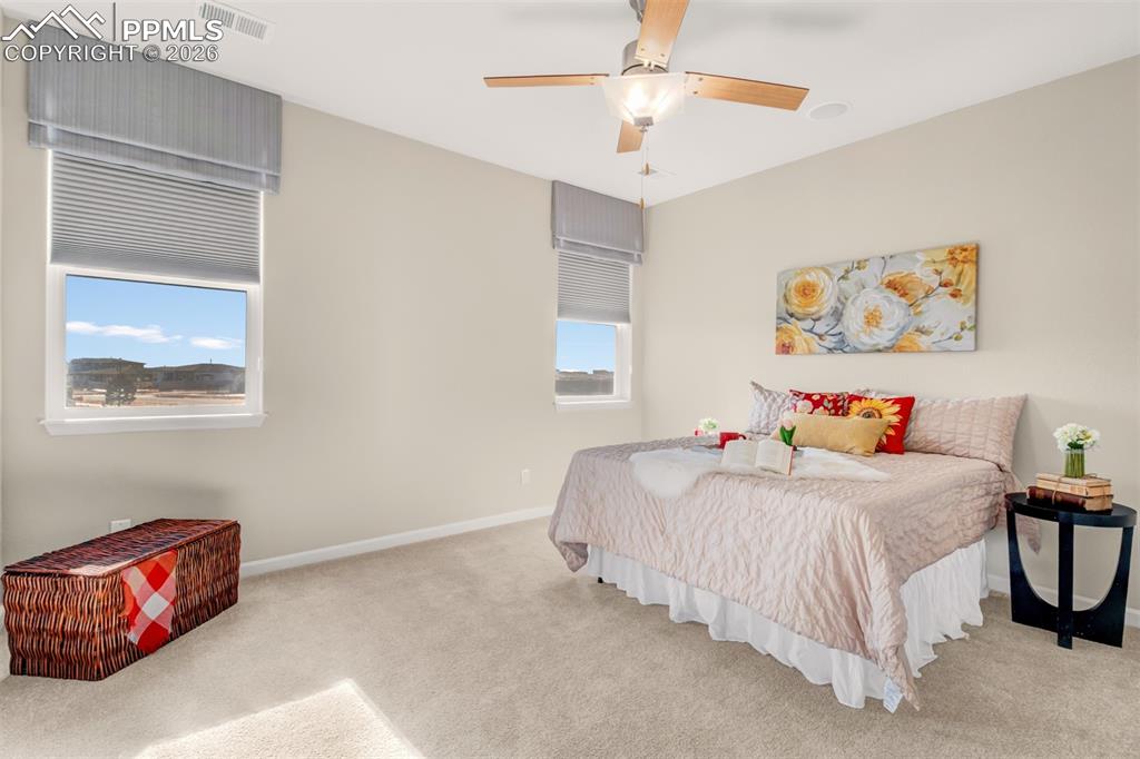 Image 11 of 29: Main level primary bedroom with carpet and ceiling fan