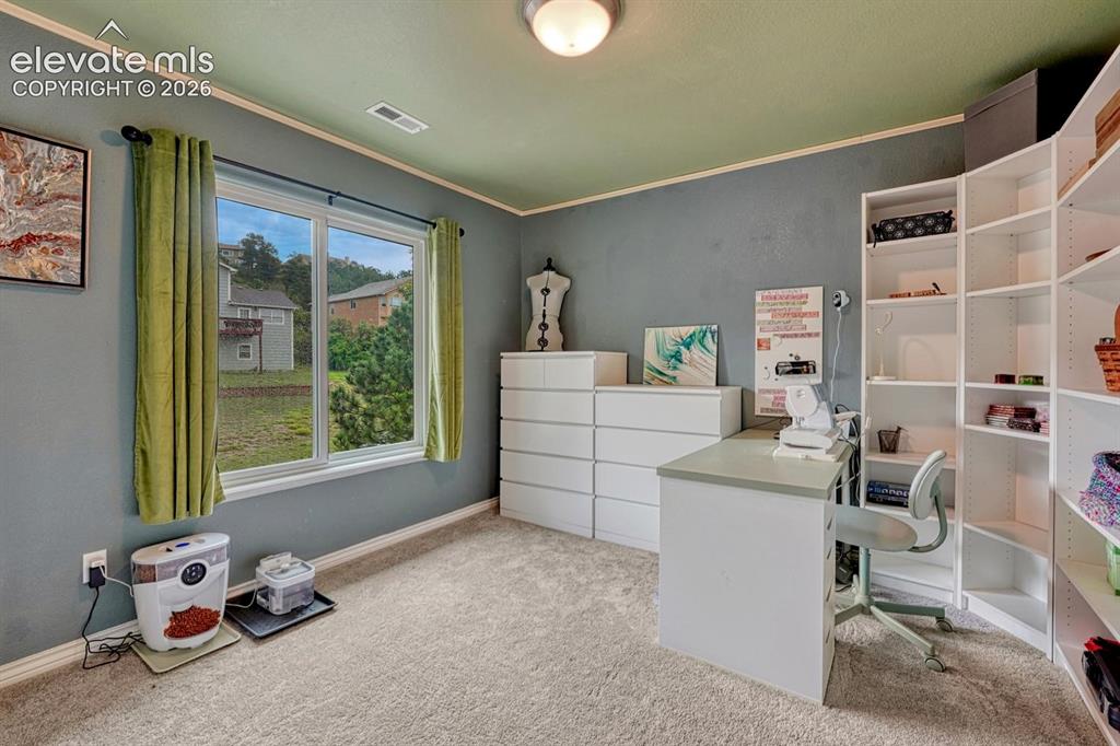 Image 24 of 41: Carpeted room with a double-pane window, shelving, and a flush-mount ceilin
