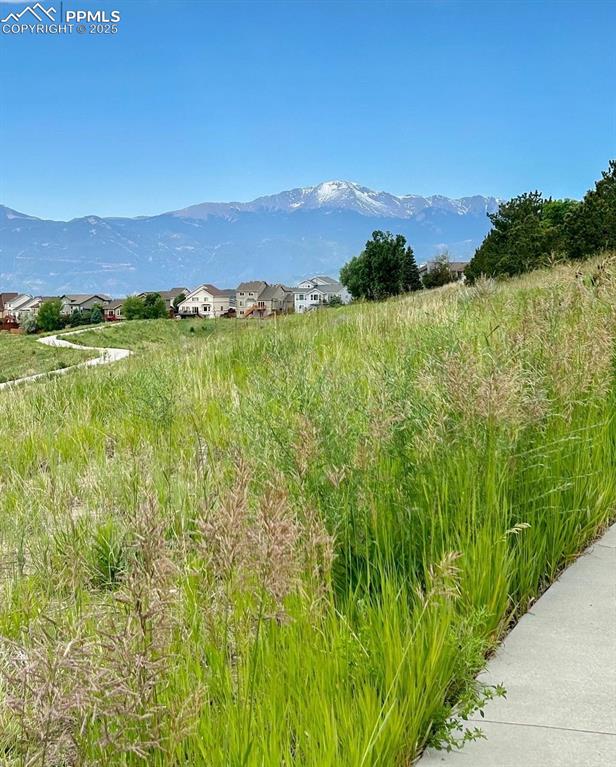 Image 24 of 24: View